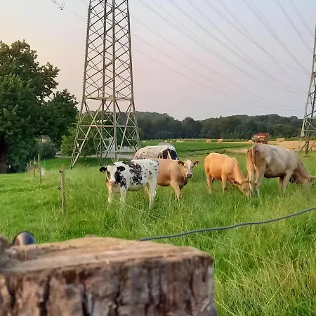 Bauernhof Sesterhenn Lägenhet