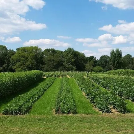 Bauernhof Sesterhenn Lägenhet Leichlingen