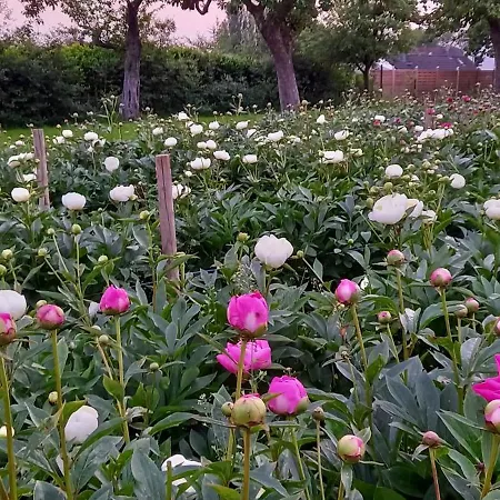 Lägenhet Bauernhof Sesterhenn Leichlingen