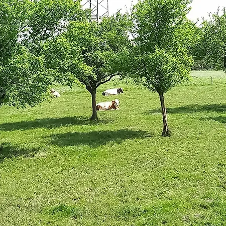 Bauernhof Sesterhenn Leichlingen