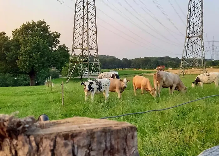 Bauernhof Sesterhenn Appartamento