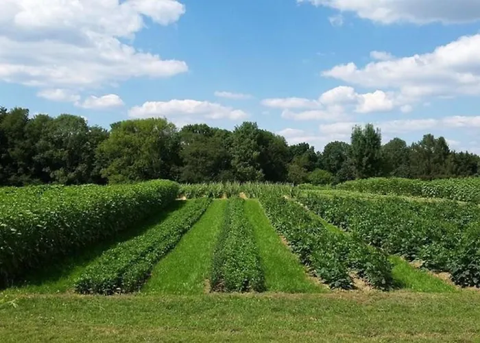 Bauernhof Sesterhenn Appartamento Leichlingen