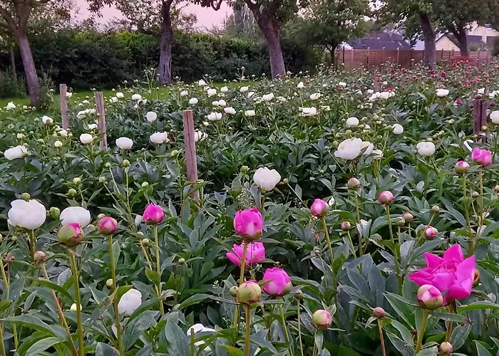 Appartamento Bauernhof Sesterhenn Leichlingen
