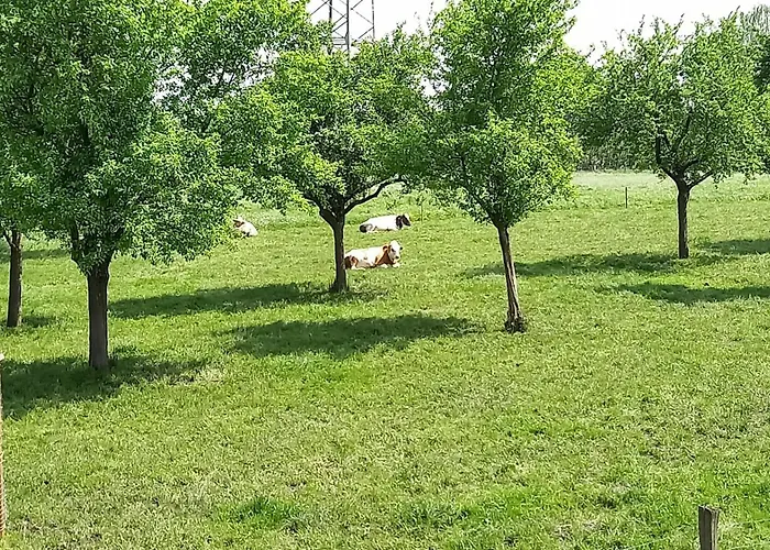 Bauernhof Sesterhenn Leichlingen
