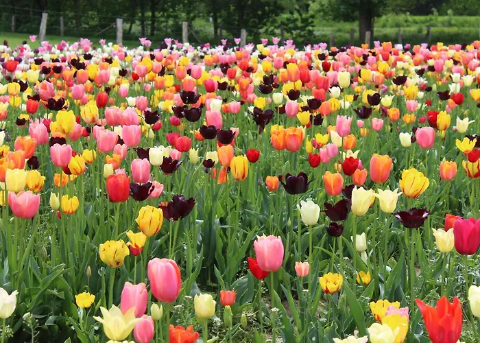 Bauernhof Sesterhenn * Leichlingen