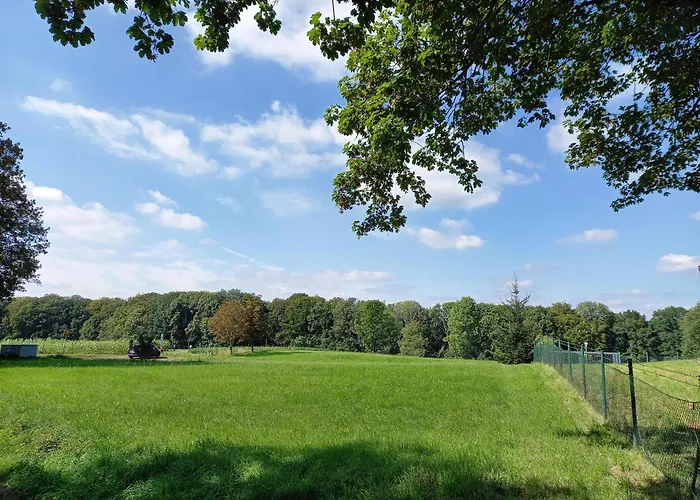 Bauernhof Sesterhenn Appartamento